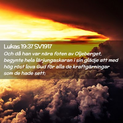 Picture 02 - Lukas 19:37 SV1917 - Och då han var nära foten av Oljeberget, - Bible Verse Picture