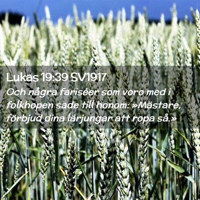 Picture 02 - Lukas 19:39 SV1917 - Och några fariséer som voro med i folkhopen - Bible Verse Picture