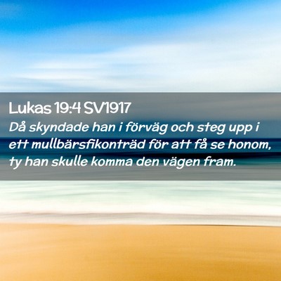 Picture 02 - Lukas 19:4 SV1917 - Då skyndade han i förväg och steg upp i ett - Bible Verse Picture