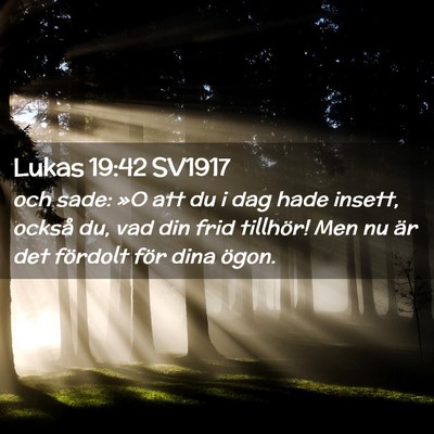 Picture 02 - Lukas 19:42 SV1917 - och sade: »O att du i dag hade insett, också - Bible Verse Picture