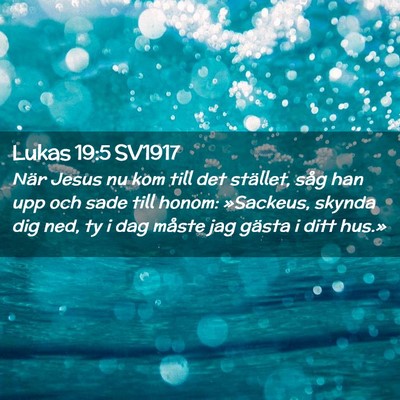 Picture 02 - Lukas 19:5 SV1917 - När Jesus nu kom till det stället, såg han upp - Bible Verse Picture