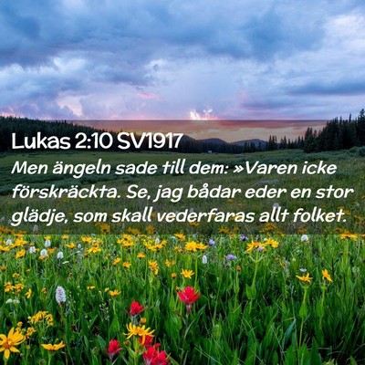 Picture 02 - Lukas 2:10 SV1917 - Men ängeln sade till dem: »Varen icke - Bible Verse Picture
