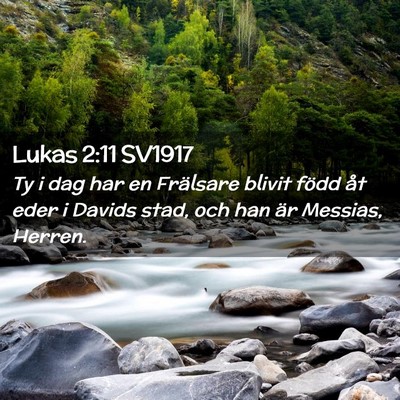 Picture 02 - Lukas 2:11 SV1917 - Ty i dag har en Frälsare blivit född åt eder i - Bible Verse Picture