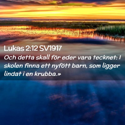 Picture 02 - Lukas 2:12 SV1917 - Och detta skall för eder vara tecknet: I skolen - Bible Verse Picture