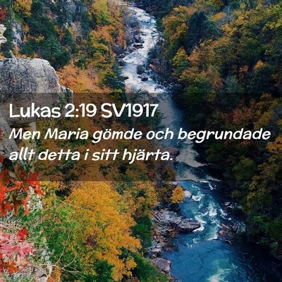 Picture 02 - Lukas 2:19 SV1917 - Men Maria gömde och begrundade allt detta i sitt - Bible Verse Picture