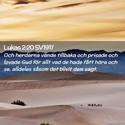 Picture 02 - Lukas 2:20 SV1917 - Och herdarna vände tillbaka och prisade och - Bible Verse Picture