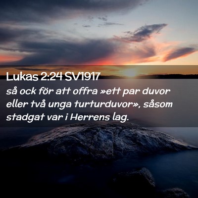 Picture 02 - Lukas 2:24 SV1917 - så ock för att offra »ett par duvor eller två - Bible Verse Picture