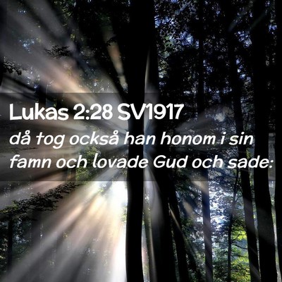 Picture 02 - Lukas 2:28 SV1917 - då tog också han honom i sin famn och lovade - Bible Verse Picture
