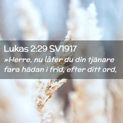 Picture 02 - Lukas 2:29 SV1917 - »Herre, nu låter du din tjänare fara hädan i - Bible Verse Picture