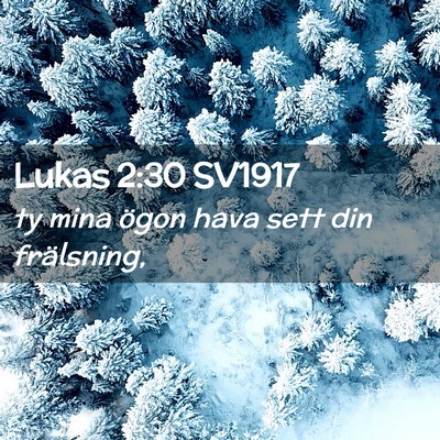 Picture 02 - Lukas 2:30 SV1917 - ty mina ögon hava sett din - Bible Verse Picture