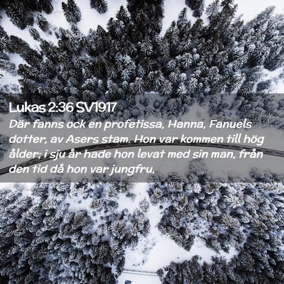 Picture 02 - Lukas 2:36 SV1917 - Där fanns ock en profetissa, Hanna, Fanuels - Bible Verse Picture