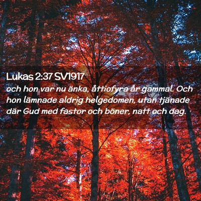 Picture 02 - Lukas 2:37 SV1917 - och hon var nu änka, åttiofyra år gammal. Och - Bible Verse Picture
