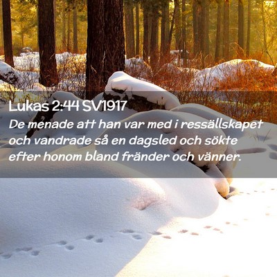 Picture 02 - Lukas 2:44 SV1917 - De menade att han var med i ressällskapet och - Bible Verse Picture