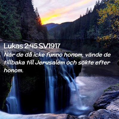 Picture 02 - Lukas 2:45 SV1917 - När de då icke funno honom, vände de tillbaka - Bible Verse Picture