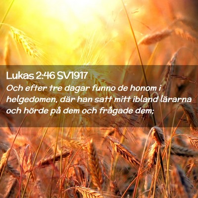 Picture 02 - Lukas 2:46 SV1917 - Och efter tre dagar funno de honom i helgedomen, - Bible Verse Picture