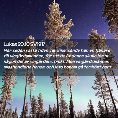 Picture 02 - Lukas 20:10 SV1917 - När sedan rätta tiden var inne, sände han en - Bible Verse Picture