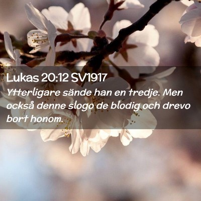 Picture 02 - Lukas 20:12 SV1917 - Ytterligare sände han en tredje. Men också - Bible Verse Picture