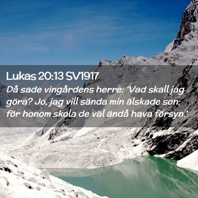 Picture 02 - Lukas 20:13 SV1917 - Då sade vingårdens herre: 'Vad skall jag göra? - Bible Verse Picture