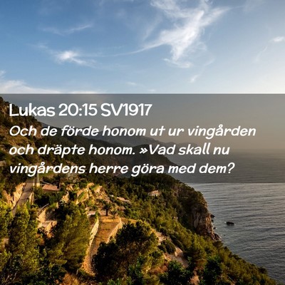 Picture 02 - Lukas 20:15 SV1917 - Och de förde honom ut ur vingården och dräpte - Bible Verse Picture