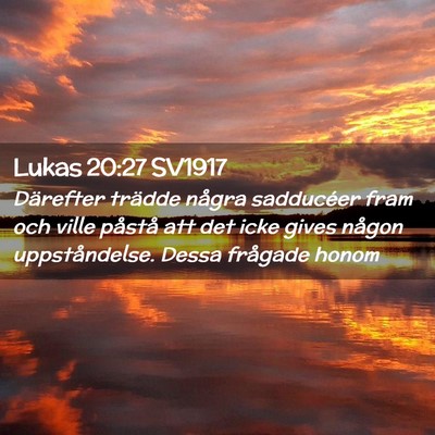 Picture 02 - Lukas 20:27 SV1917 - Därefter trädde några sadducéer fram och - Bible Verse Picture