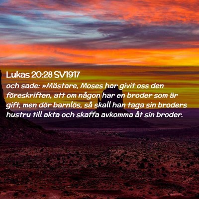Picture 02 - Lukas 20:28 SV1917 - och sade: »Mästare, Moses har givit oss den - Bible Verse Picture