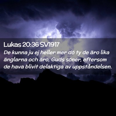 Picture 02 - Lukas 20:36 SV1917 - De kunna ju ej heller mer dö ty de äro lika - Bible Verse Picture