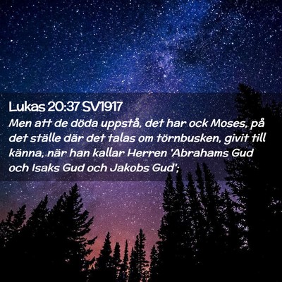 Picture 02 - Lukas 20:37 SV1917 - Men att de döda uppstå, det har ock Moses, på - Bible Verse Picture