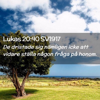 Picture 02 - Lukas 20:40 SV1917 - De dristade sig nämligen icke att vidare ställa - Bible Verse Picture