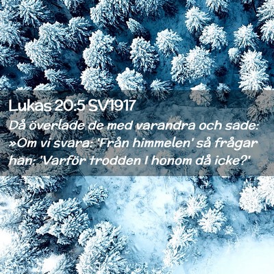 Picture 02 - Lukas 20:5 SV1917 - Då överlade de med varandra och sade: »Om vi - Bible Verse Picture