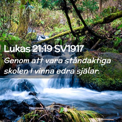 Picture 02 - Lukas 21:19 SV1917 - Genom att vara ståndaktiga skolen I vinna edra - Bible Verse Picture