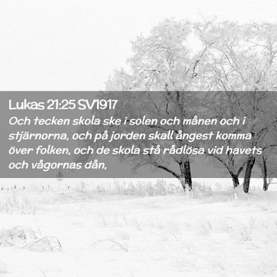 Picture 02 - Lukas 21:25 SV1917 - Och tecken skola ske i solen och månen och i - Bible Verse Picture