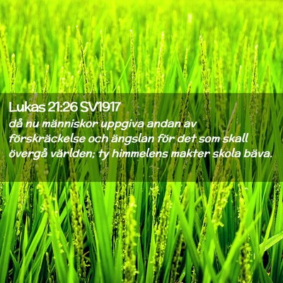Picture 02 - Lukas 21:26 SV1917 - då nu människor uppgiva andan av - Bible Verse Picture
