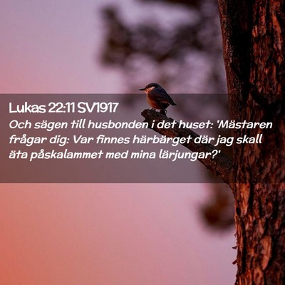 Picture 02 - Lukas 22:11 SV1917 - Och sägen till husbonden i det huset: 'Mästaren - Bible Verse Picture