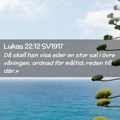 Picture 02 - Lukas 22:12 SV1917 - Då skall han visa eder en stor sal i övre - Bible Verse Picture
