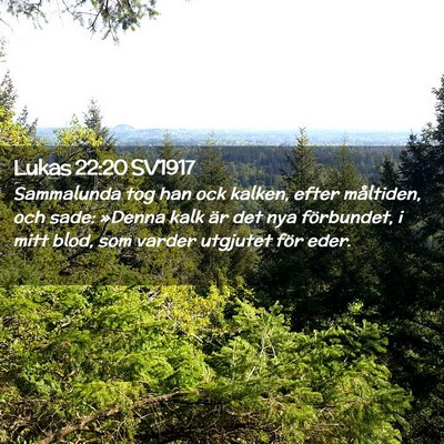 Picture 02 - Lukas 22:20 SV1917 - Sammalunda tog han ock kalken, efter måltiden, - Bible Verse Picture