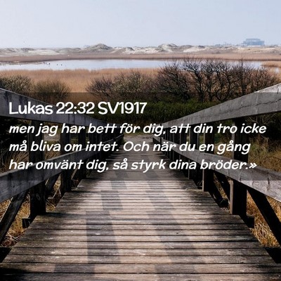 Picture 02 - Lukas 22:32 SV1917 - men jag har bett för dig, att din tro icke må - Bible Verse Picture