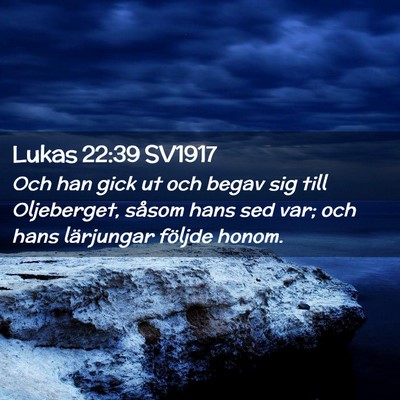 Picture 02 - Lukas 22:39 SV1917 - Och han gick ut och begav sig till Oljeberget, - Bible Verse Picture