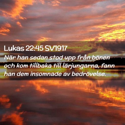 Picture 02 - Lukas 22:45 SV1917 - När han sedan stod upp från bönen och kom - Bible Verse Picture