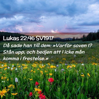Picture 02 - Lukas 22:46 SV1917 - Då sade han till dem: »Varför soven I? Stån - Bible Verse Picture