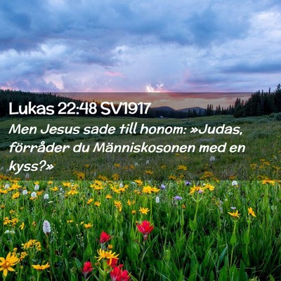 Picture 02 - Lukas 22:48 SV1917 - Men Jesus sade till honom: »Judas, förråder du - Bible Verse Picture