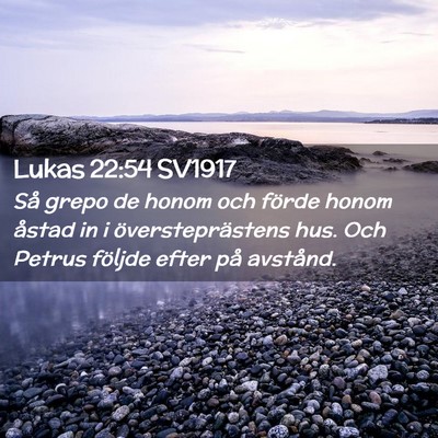Picture 02 - Lukas 22:54 SV1917 - Så grepo de honom och förde honom åstad in i - Bible Verse Picture