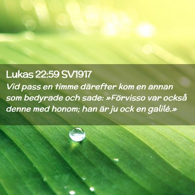 Picture 02 - Lukas 22:59 SV1917 - Vid pass en timme därefter kom en annan som - Bible Verse Picture