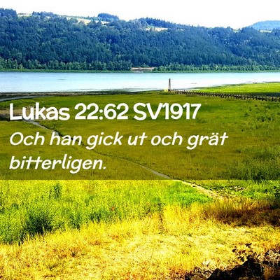 Picture 02 - Lukas 22:62 SV1917 - Och han gick ut och grät - Bible Verse Picture
