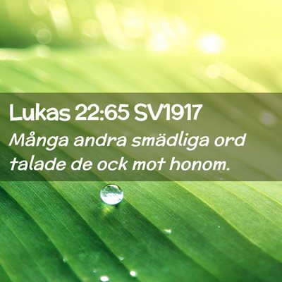 Picture 02 - Lukas 22:65 SV1917 - Många andra smädliga ord talade de ock mot - Bible Verse Picture