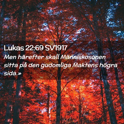 Picture 02 - Lukas 22:69 SV1917 - Men härefter skall Människosonen sitta på den - Bible Verse Picture