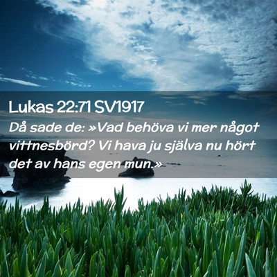 Picture 02 - Lukas 22:71 SV1917 - Då sade de: »Vad behöva vi mer något - Bible Verse Picture