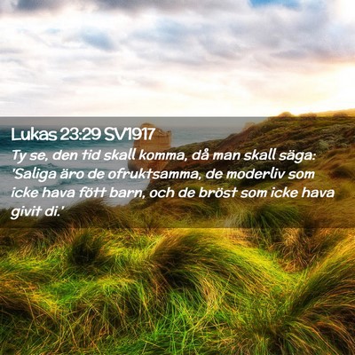 Picture 02 - Lukas 23:29 SV1917 - Ty se, den tid skall komma, då man skall säga: - Bible Verse Picture