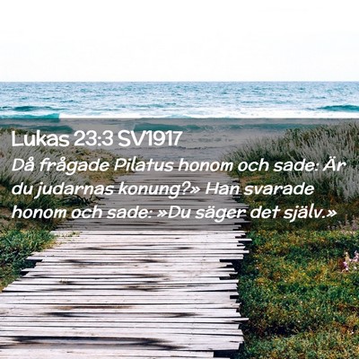 Picture 02 - Lukas 23:3 SV1917 - Då frågade Pilatus honom och sade: Är du - Bible Verse Picture