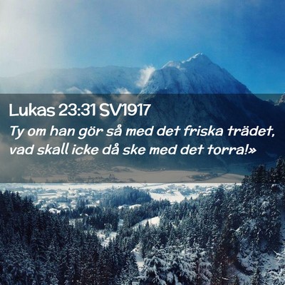 Picture 02 - Lukas 23:31 SV1917 - Ty om han gör så med det friska trädet, vad - Bible Verse Picture