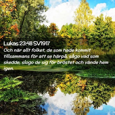Picture 02 - Lukas 23:48 SV1917 - Och när allt folket, de som hade kommit - Bible Verse Picture
